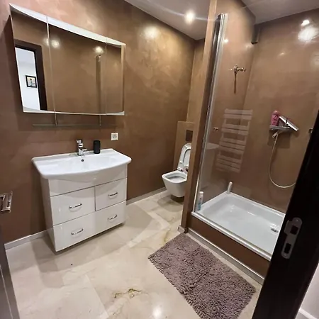 Beautiful House 25 Mins From Geneva